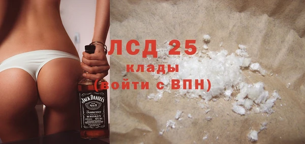 прущие грибы Волоколамск