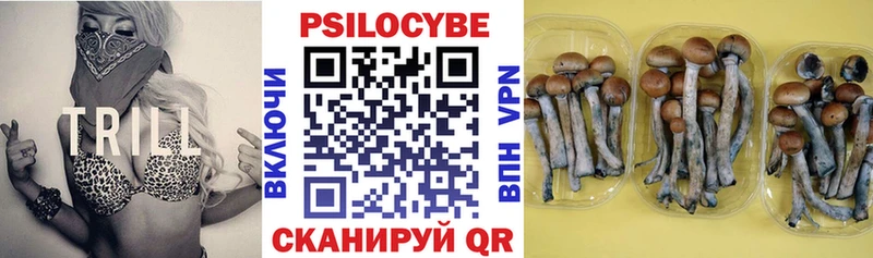 Галлюциногенные грибы GOLDEN TEACHER  Купить закладки  Мураши 