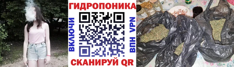 Купить закладки  Мураши  Шишки марихуана индика 